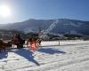 Haflinger - Deckstation Weer