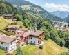 Haus Alpensteinbock Saalbach