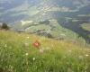 Haus Kammern 168 vacation rentals