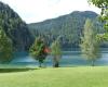 Hintersteiner See in Scheffau am Wilden Kaiser