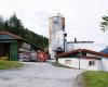 Holz Profil