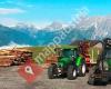 Holzproduktion und Handel