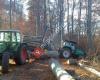 Holzschlägerung u. Bringung Gruber