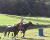 HORSE RANCH  ,, Missouri Foxtrotter ''