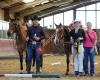 Horsetraining LEEB