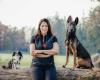 HundeASS | Andrea Stelzig - Spezialistin für Familien- und Gebrauchshunde