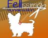 Hundesalon Fellissimo