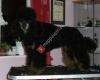 Hundesalon Lena