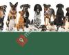 Hundesportverein Satteins - Walgau