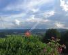 Immobilien & Mediation Palz
