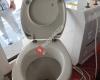 Installateur Gas Wasser Heizung ✔ WC Bad Sanitär Handel ✔ SEMA Notdienst »Wien