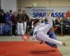 Judoverein Siebenbrünn Ippon