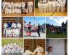 Karate Obdach