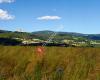 Klimaschutzregion Naturpark Pöllauer Tal