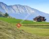 Landwirtschaftskammer Tirol