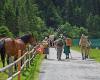 Leader Region Nationalpark Hohe Tauern