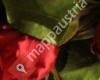 Liebe erfrischt