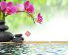 Massage Lastone Ingrid Fellner