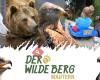 Mautern - Der Wilde Berg