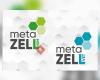 metaZELL