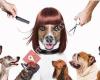Mobile Hundefriseurin Helga