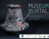 Museum Murtal: Archäologie der Region