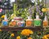 Natural Haircut - Deine  Naturfriseurin