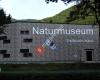 Naturmuseum Salzkammergut - 