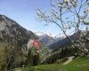 Neuhaus - Urlaub am Bauernhof