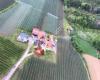 Obstgut am Moarboch