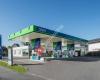 OMV Tankstelle Hard - Rheinstraße 24