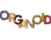 Organoid Technologies