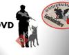 Österreichischer Verein der Diensthundeführer