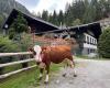 Parkplatz Malteiner Wasserspiele