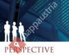 Perspective Global Executive Search