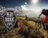 Peto Bike Zams