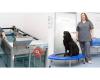 Physiotraining für Hunde & Katzen - Angelika Trinkel