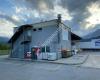 Plose A Oil