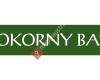 POKORNY BAU