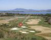 Professional Golf