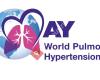 Pulmonary Hypertension Association Europe