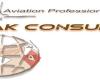 Redak Consulting GmbH