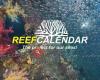 Reefcalendar - The project for our seas