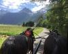 Reiten und Kutschenfahrten im Ötztal