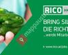 RICO Elastomere Projecting GmbH