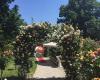 Rosarium Bad Sauerbrunn