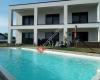 Scheins Home