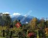 Schlank Schlemmer Hotel Kürschner - Wellness in Kärnten