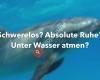 Scuba Academy Liezen