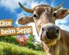 Sepp`s KÄSEALM